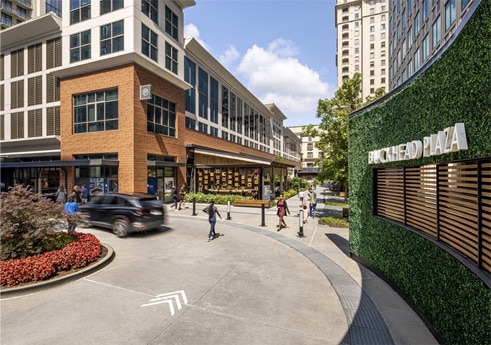 Peachtree Landscape photo 3