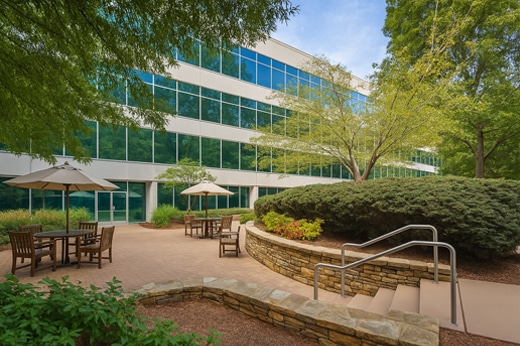 Peachtree Landscape photo 4