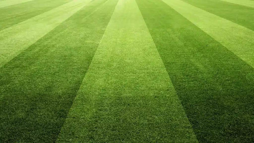 Lawn Care Stripes